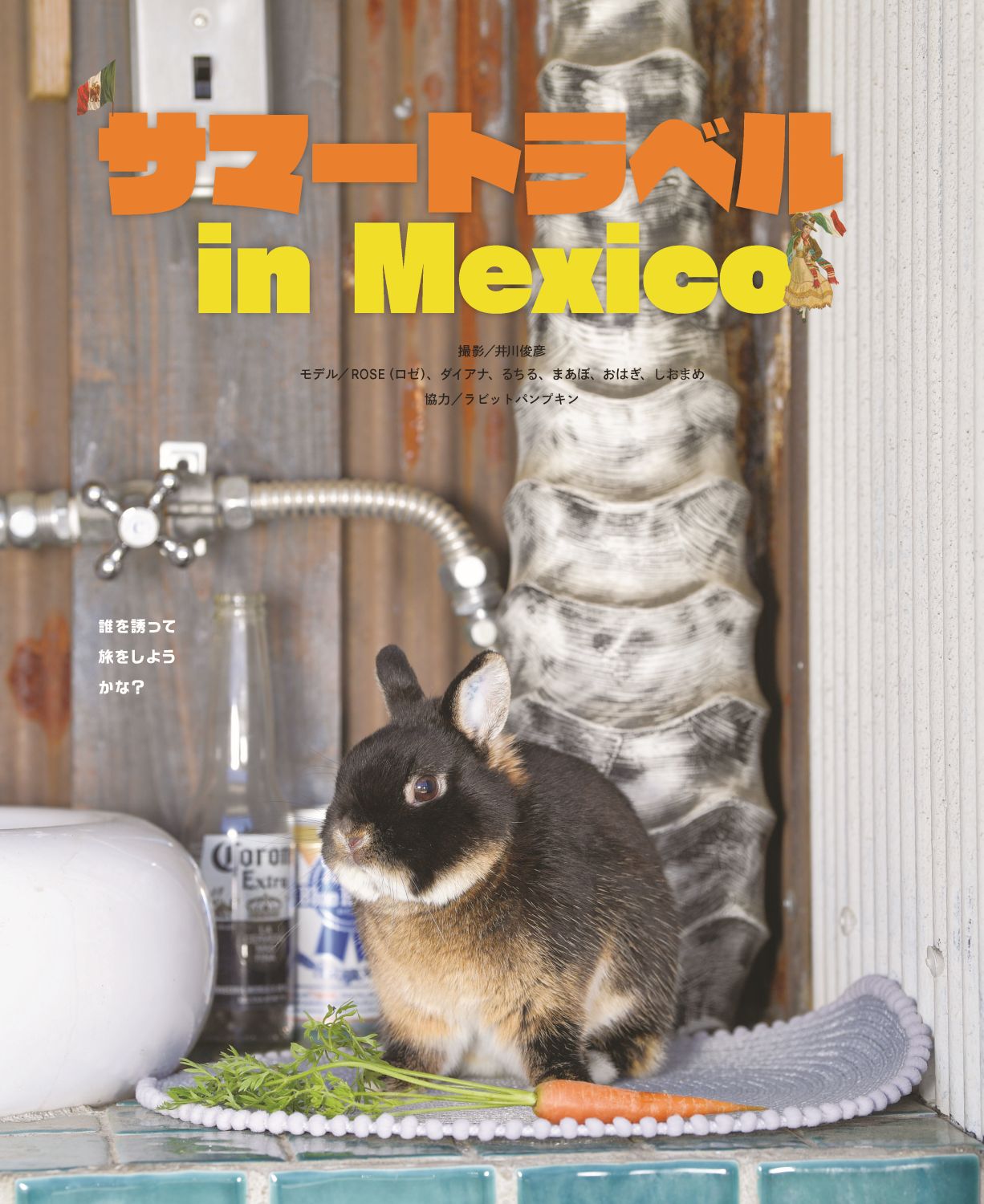 グラビア　サマートラベル in Mexico
