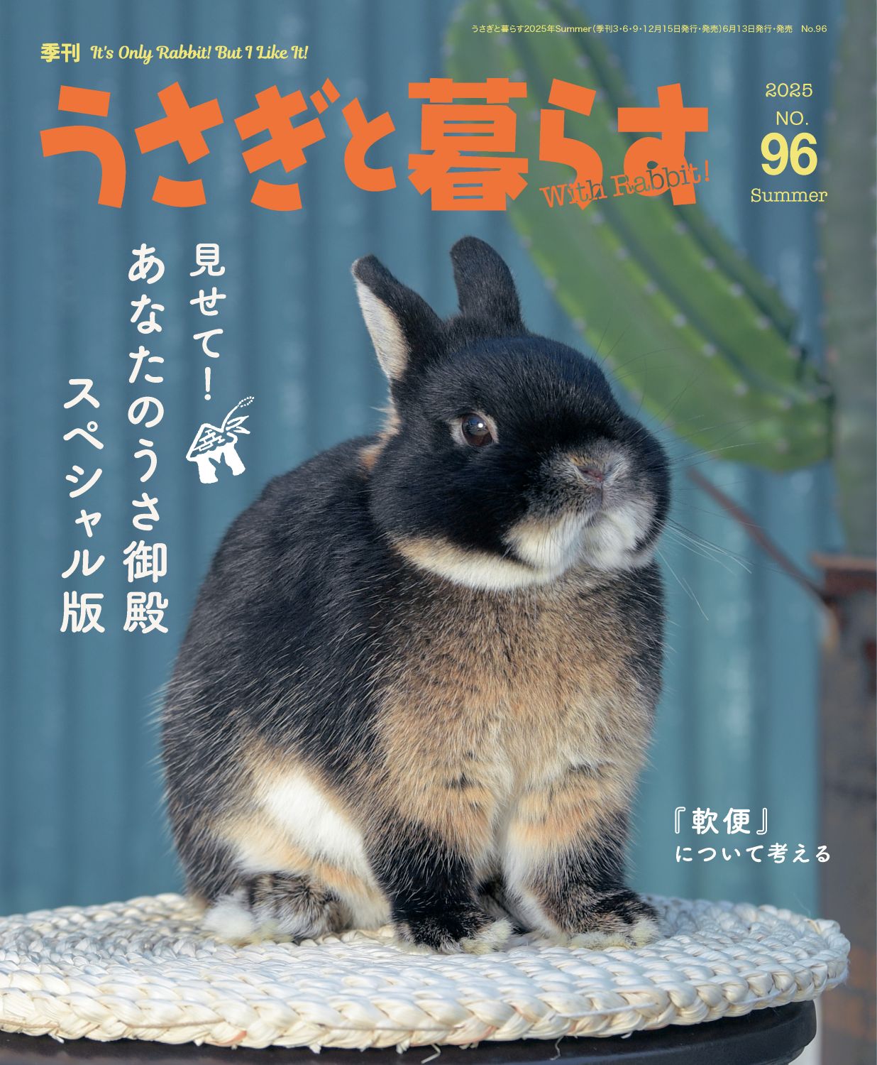 うさぎと暮らす NO.96