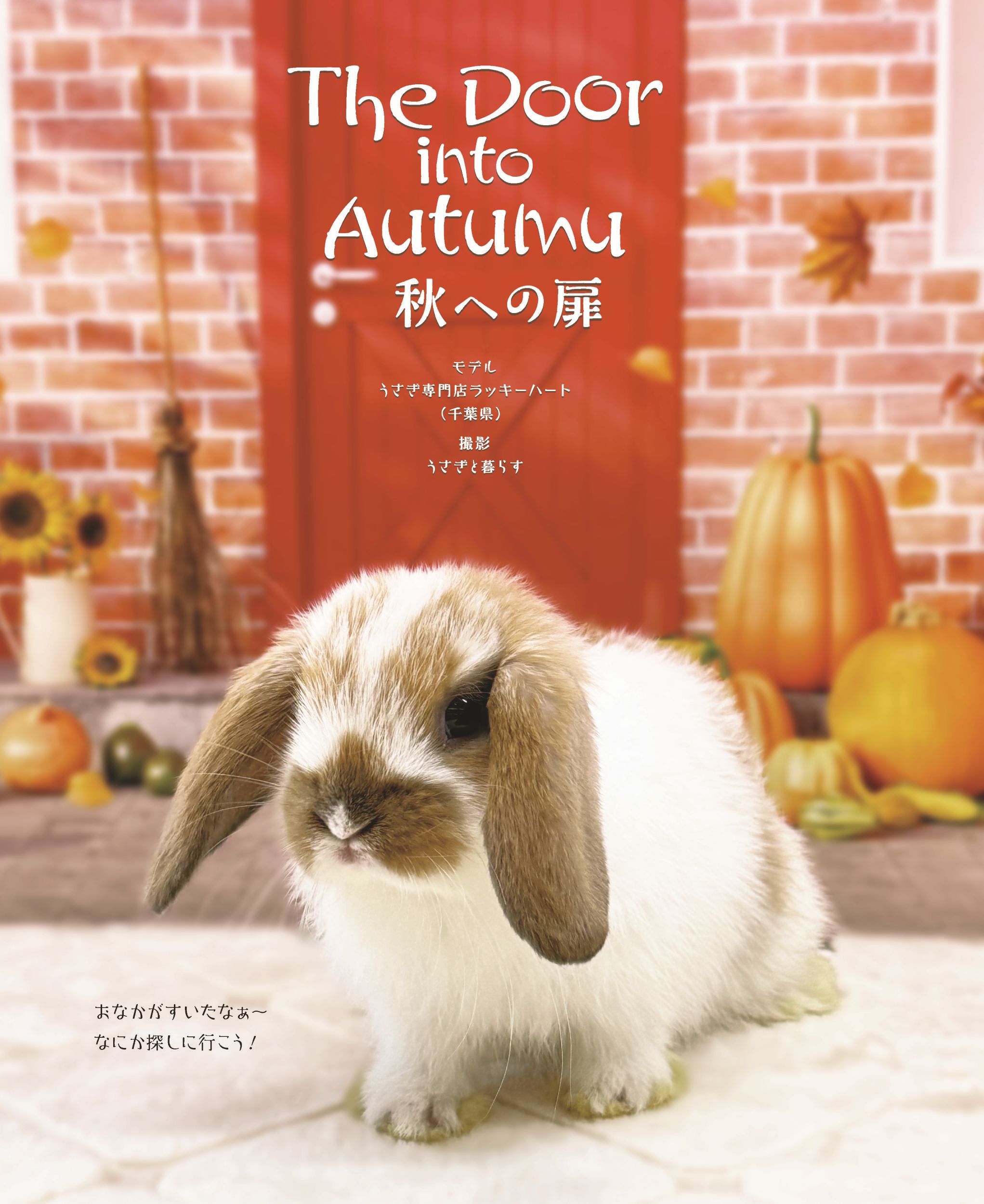 グラビア　The Door into Autumu 秋への扉
