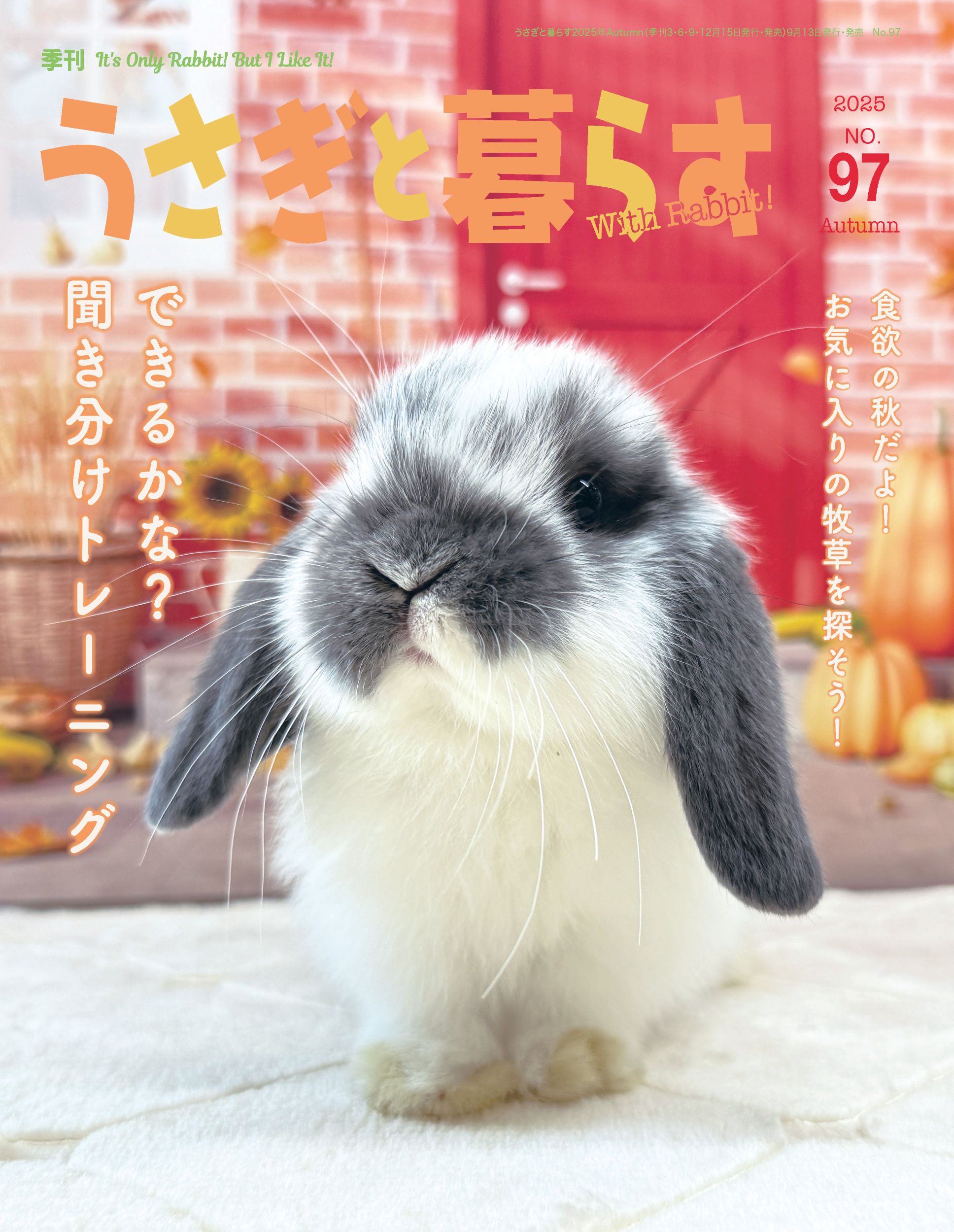うさぎと暮らす NO.97
