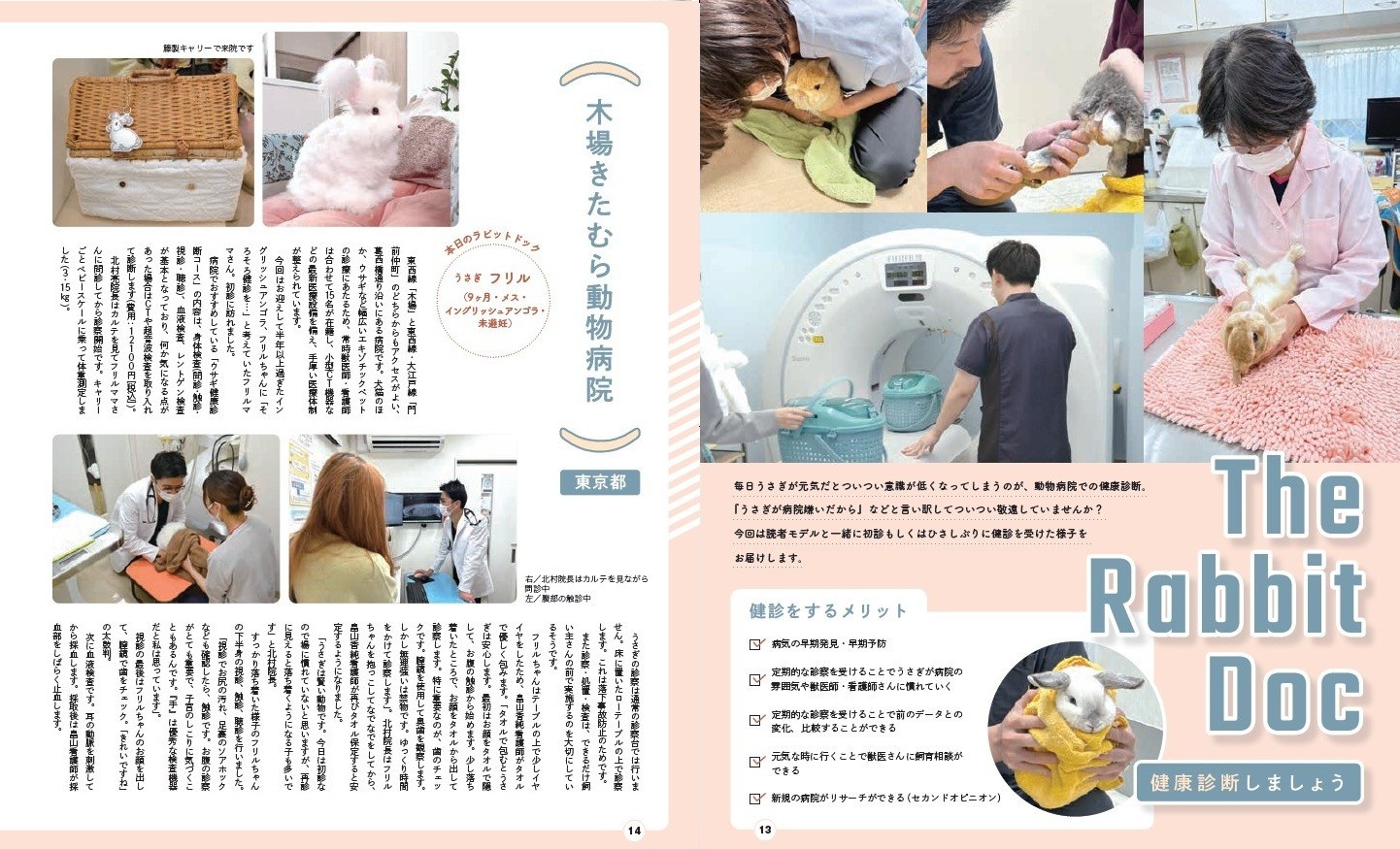 うさぎの遊び場研究！