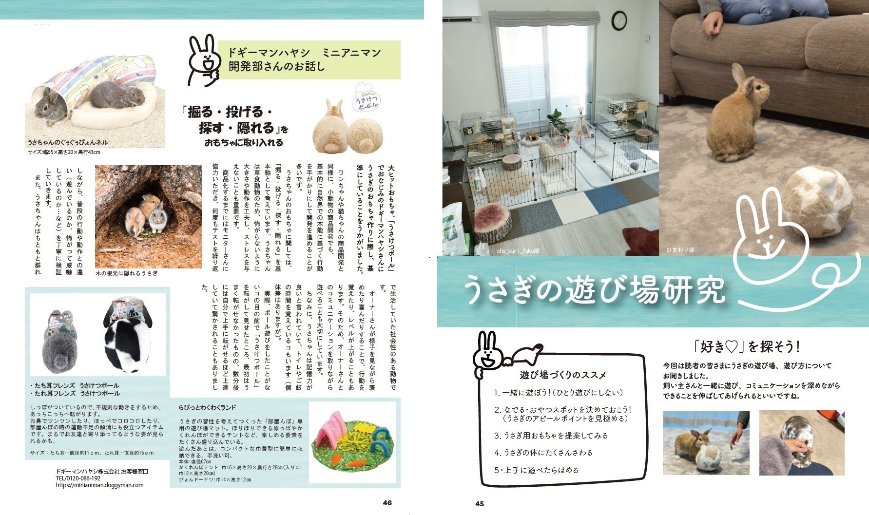 特集1 　The Rabbit Doc　健診へいきましょう！
