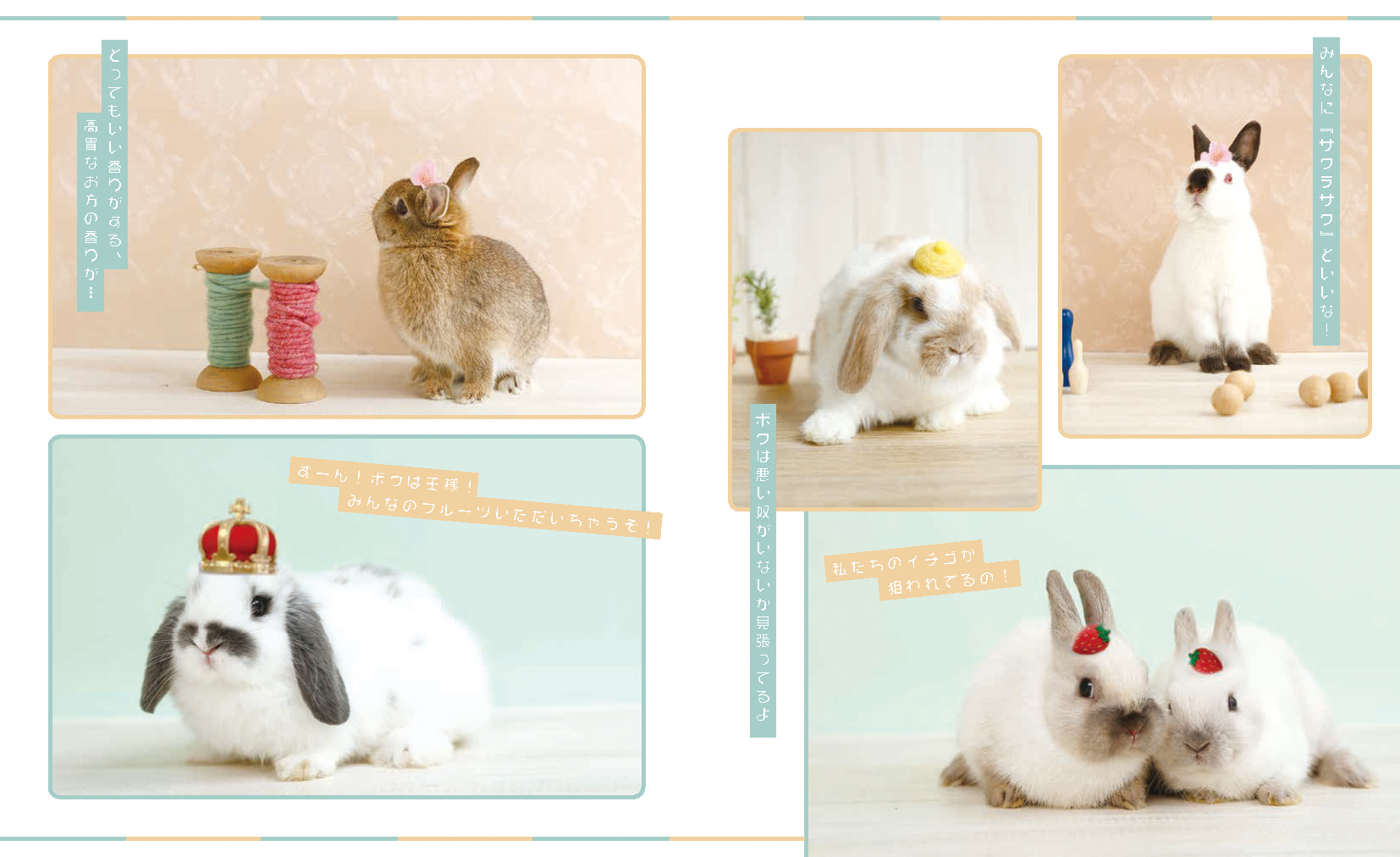 グラビア　ク表紙撮影裏話
