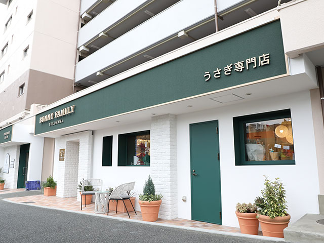 バニーファミリー横浜