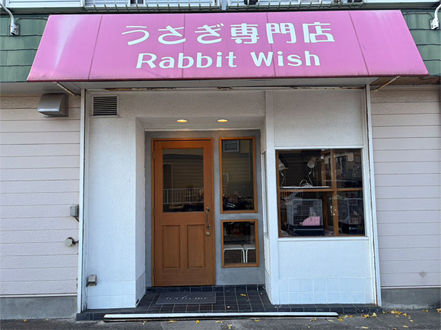 Rabbit Wish
