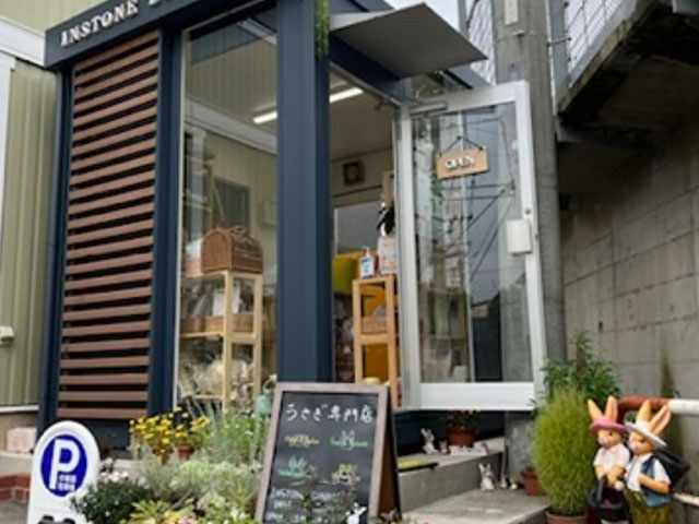 インストンバニー