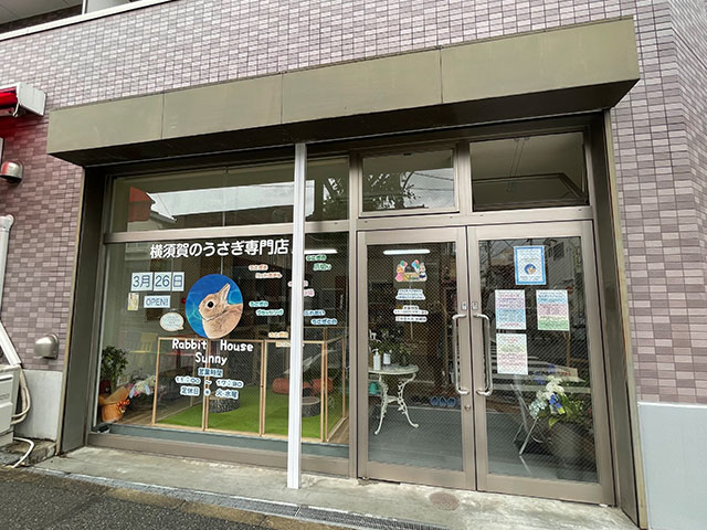 ラビットハウスサニー